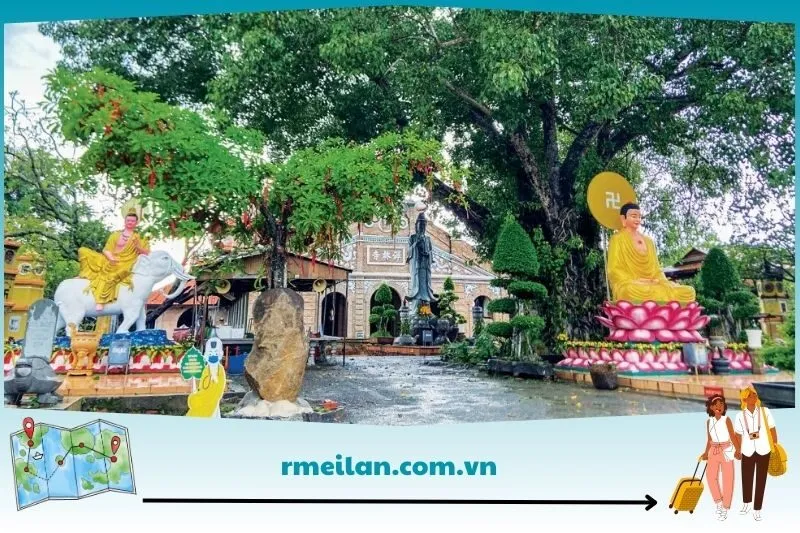 Lịch sử hình thành và phát triển