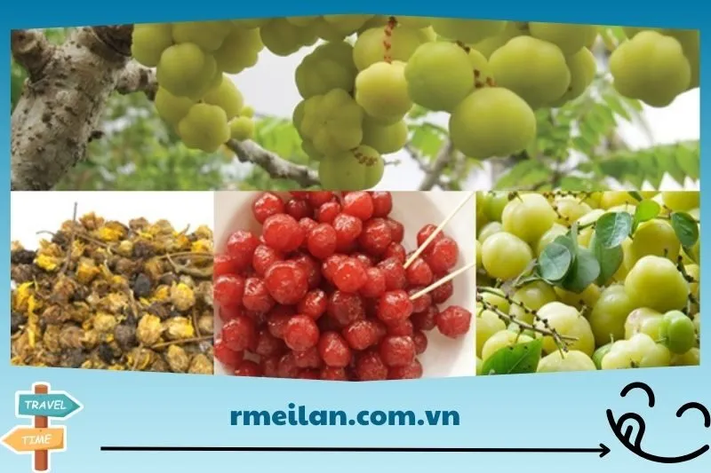Công dụng của mứt chùm ruột Tây Ninh đối với sức khỏe
