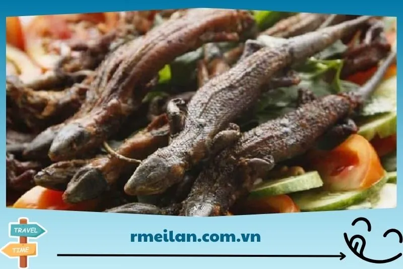 Công dụng và giá trị dinh dưỡng của thằn lằn núi Tây Ninh