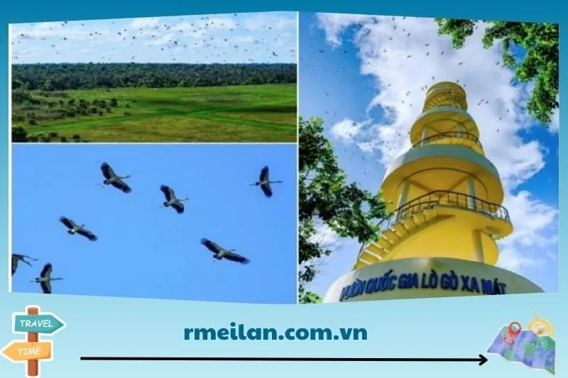 Giới thiệu về Vườn Quốc Gia Lò Gò Xa Mát Tây Ninh