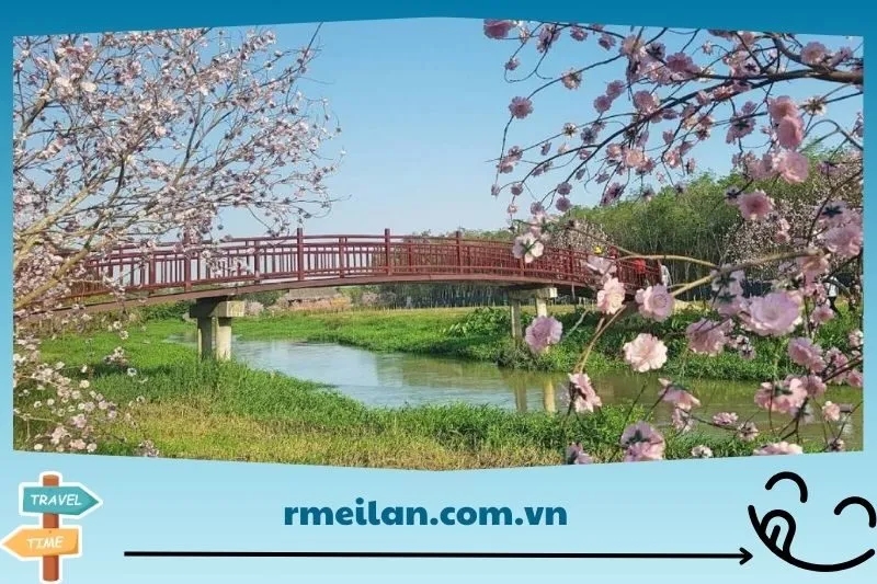 Kiến trúc độc đáo của Chùa Tây Pháp