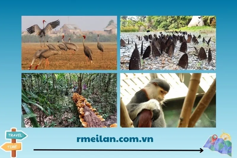 Kinh nghiệm du lịch Vườn Quốc Gia Lò Gò Xa Mát