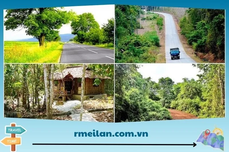 Tổng Quan Về Rừng Chàng Riệc Tây Ninh 